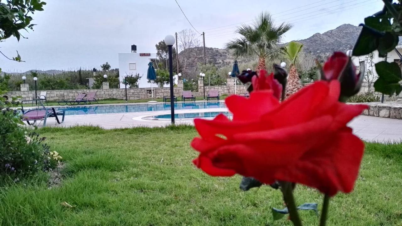 Dimitris Villa Hotel Mátala Exterior foto